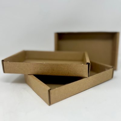 Cardboard Trays